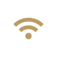 Connectivity icon